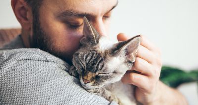 Time with cats can combat loneliness, report concludes